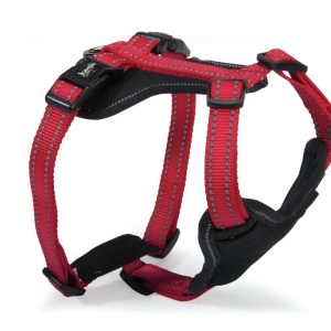 Camon Dc172/01 Pettorina Neoprene 5 Regolazioni Reflex – Rossa – S