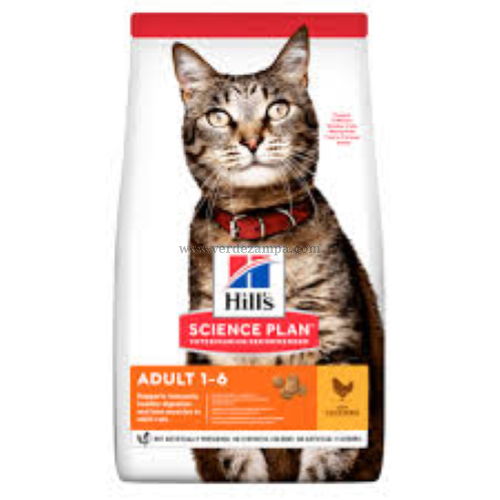 **hill’s Cat Secco Adult Pollo Kg 7