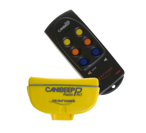 Canibeep Radio Pro Telecomando + Collare