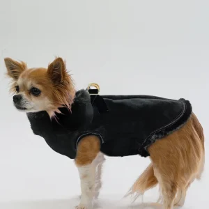 Luxdog