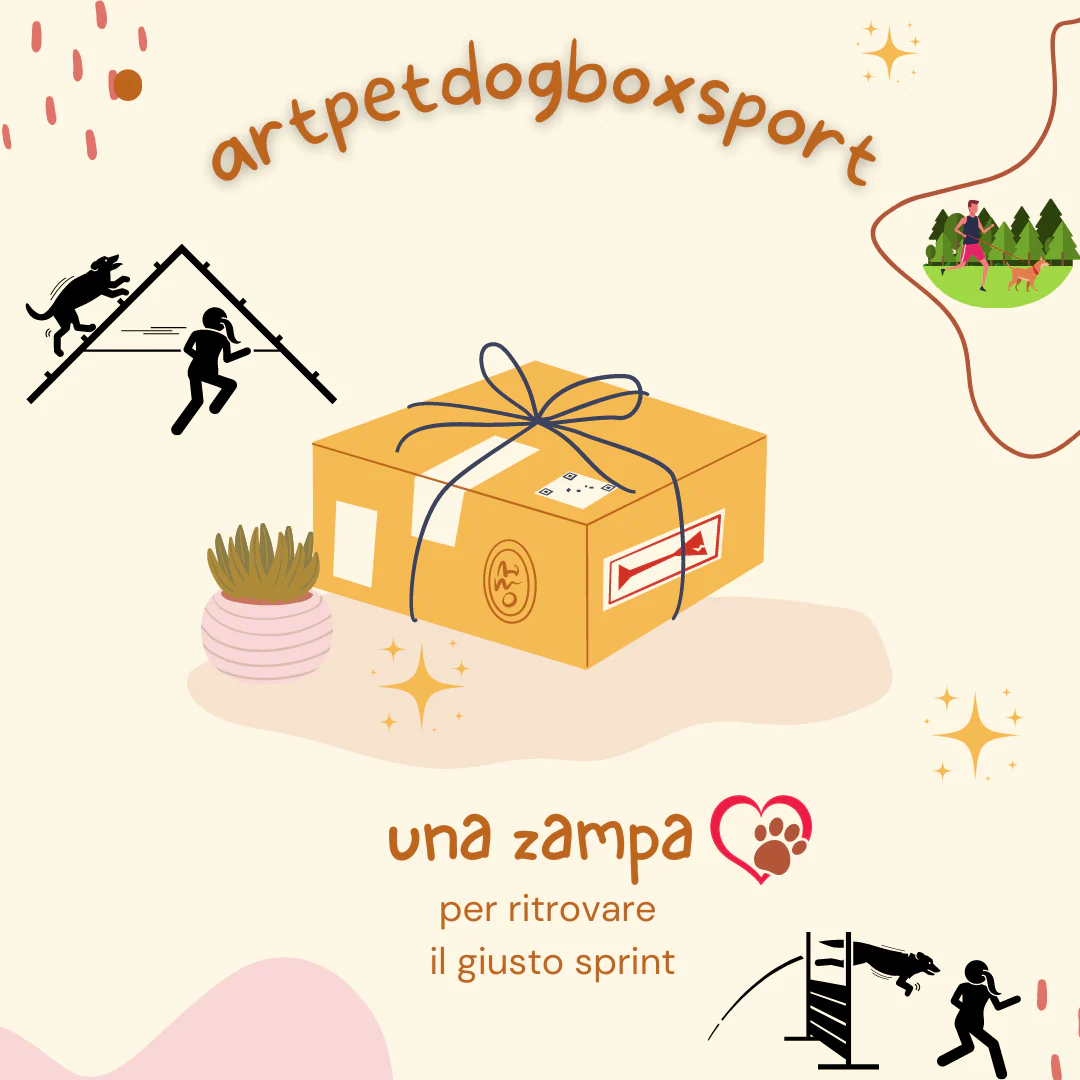 DOG ARTPETBOX SPORT
