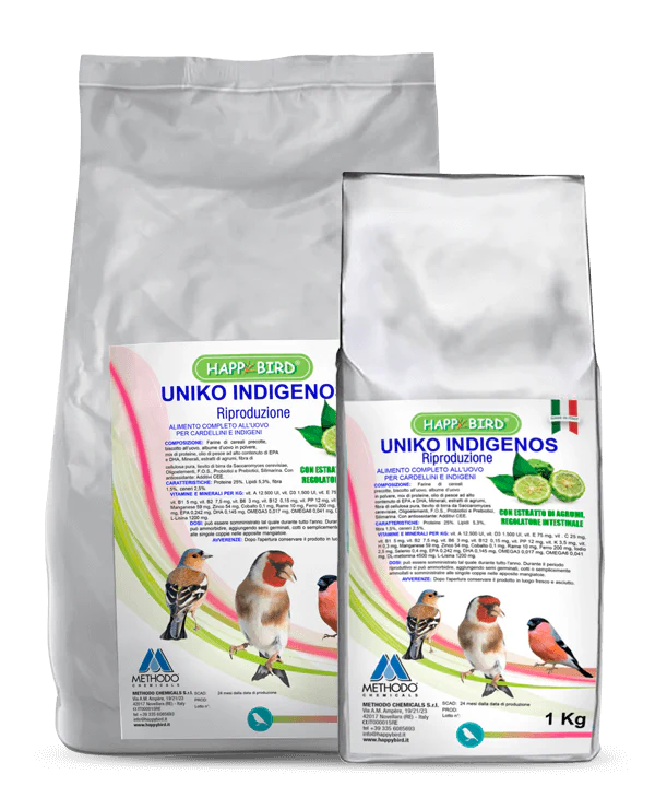 UNIKO INDIGENOS RIPRODUZIONE - immagine 2